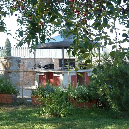 Le Vecchie Scuole Campiglia Marittima